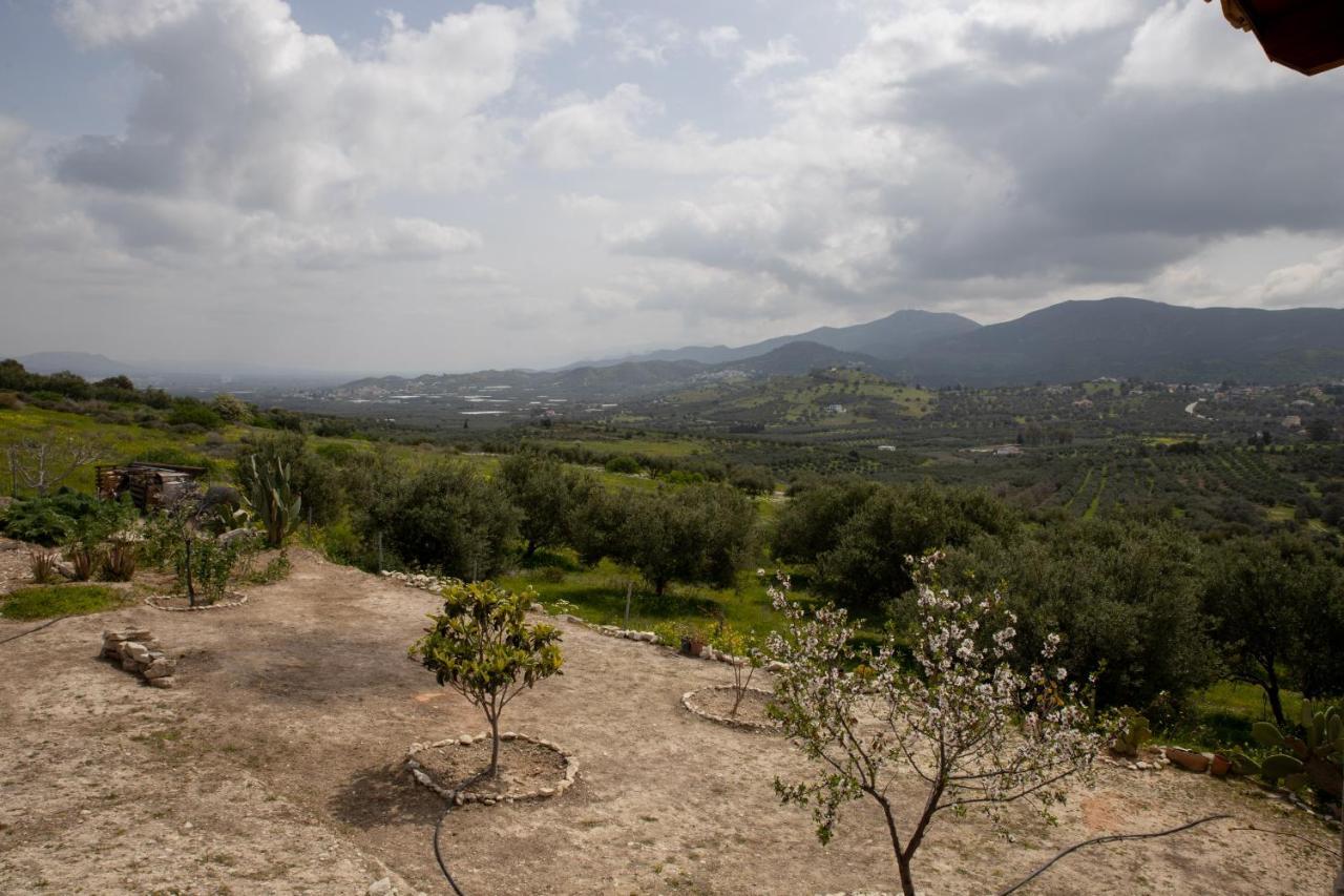 Kritamos Villa & Apartments Kamilari Bagian luar foto